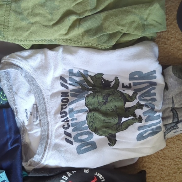 Bundle of Size 4 Boy Clothes: Athletic, PJs, Pants, Short Sleeve & Long Sleeve - Picture 10 of 13